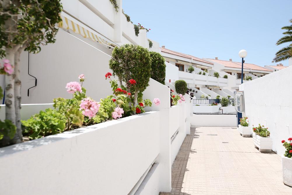 Club Olympus In Garden City Playa de las Americas  Esterno foto